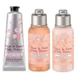 ロクシタン　チェリーブロッサム ファーストキット　【2月1日発売】