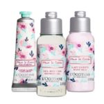 ロクシタン　チェリーワンダーランド ファーストスプリング【2月1日発売】　