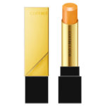 【2月5日10:00～先行予約:2月19日以降に発送】スキンシンクロルージュ / 本体 / GD-01