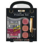 【限定品】プレイフルカラー アイ&フェイス ホリデーコレクションa / E01 ヨゾラEX03 ワインレッド / 6.6g コフレドール / COFFRET D'OR