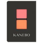 カネボウ アイカラーデュオ / リフィル / 01 Garden Picnic / 0.9g KANEBO