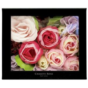 バスペタル グロスローズ 入浴剤